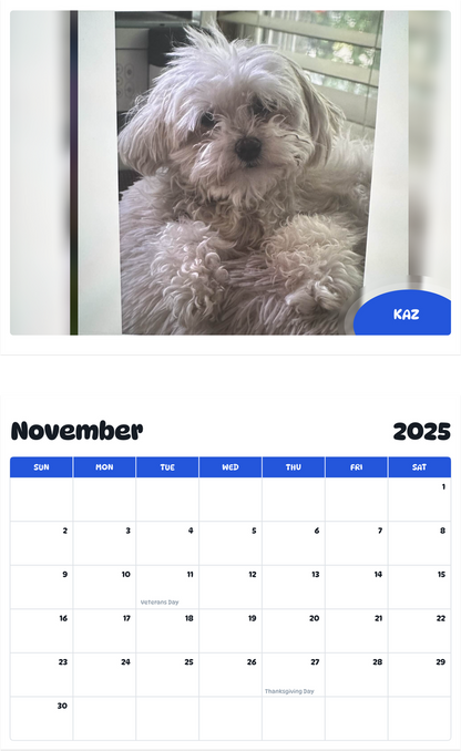 July 2025 - June 2026 Kaz - Pawidols Pet Calendar