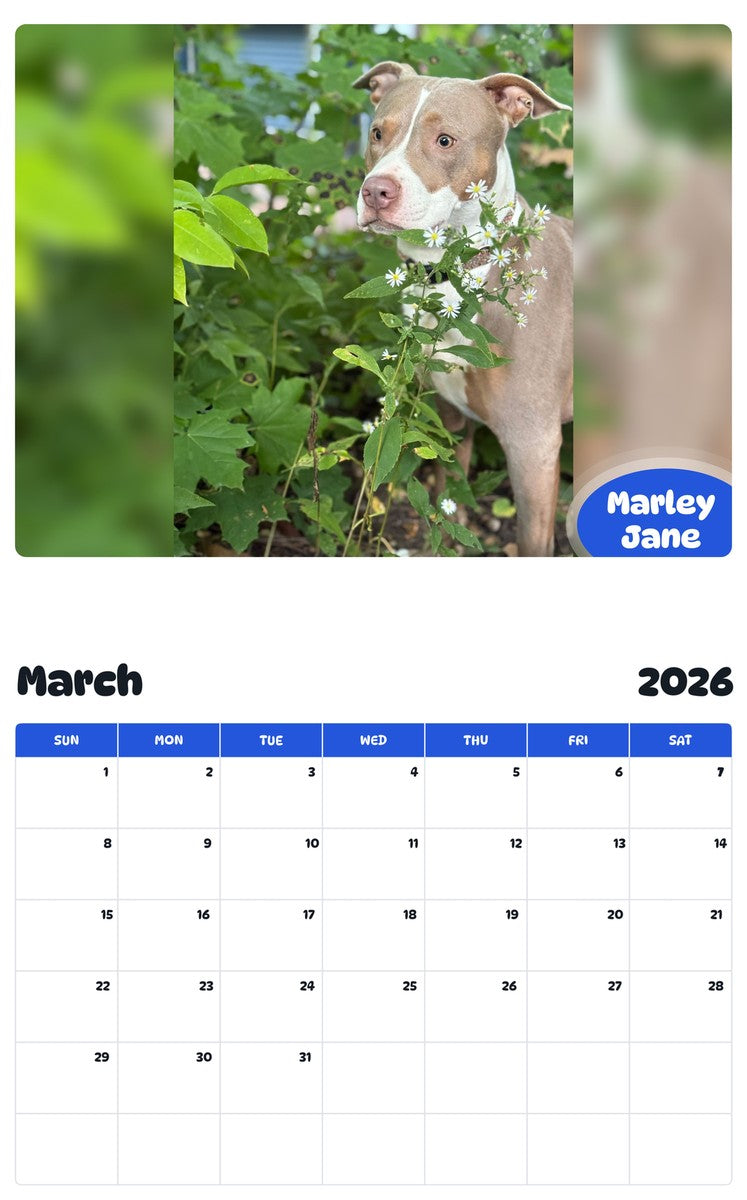 November 2025 - October 2026 Marley Jane - Pawidols Pet Calendar