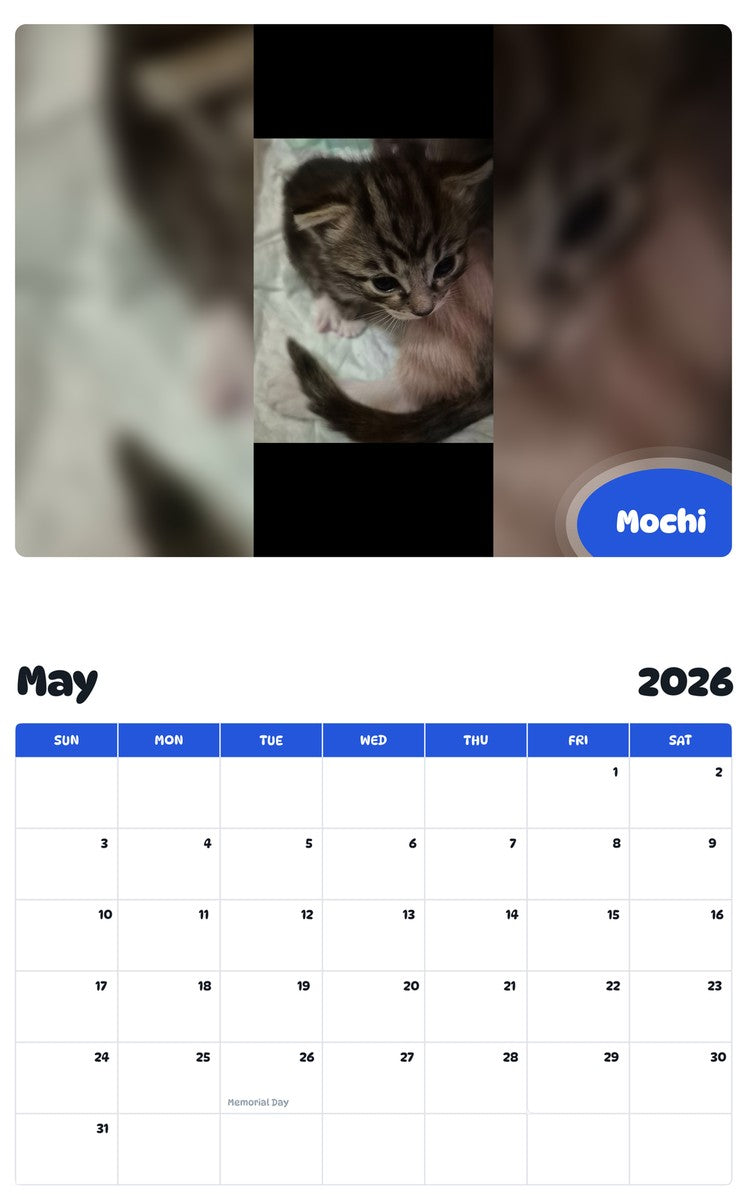 2026 - 2027 Mochi - Pawidols Pet Calendar