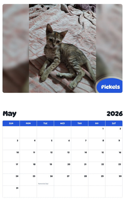 2026 - 2027 Pickels - Pawidols Pet Calendar