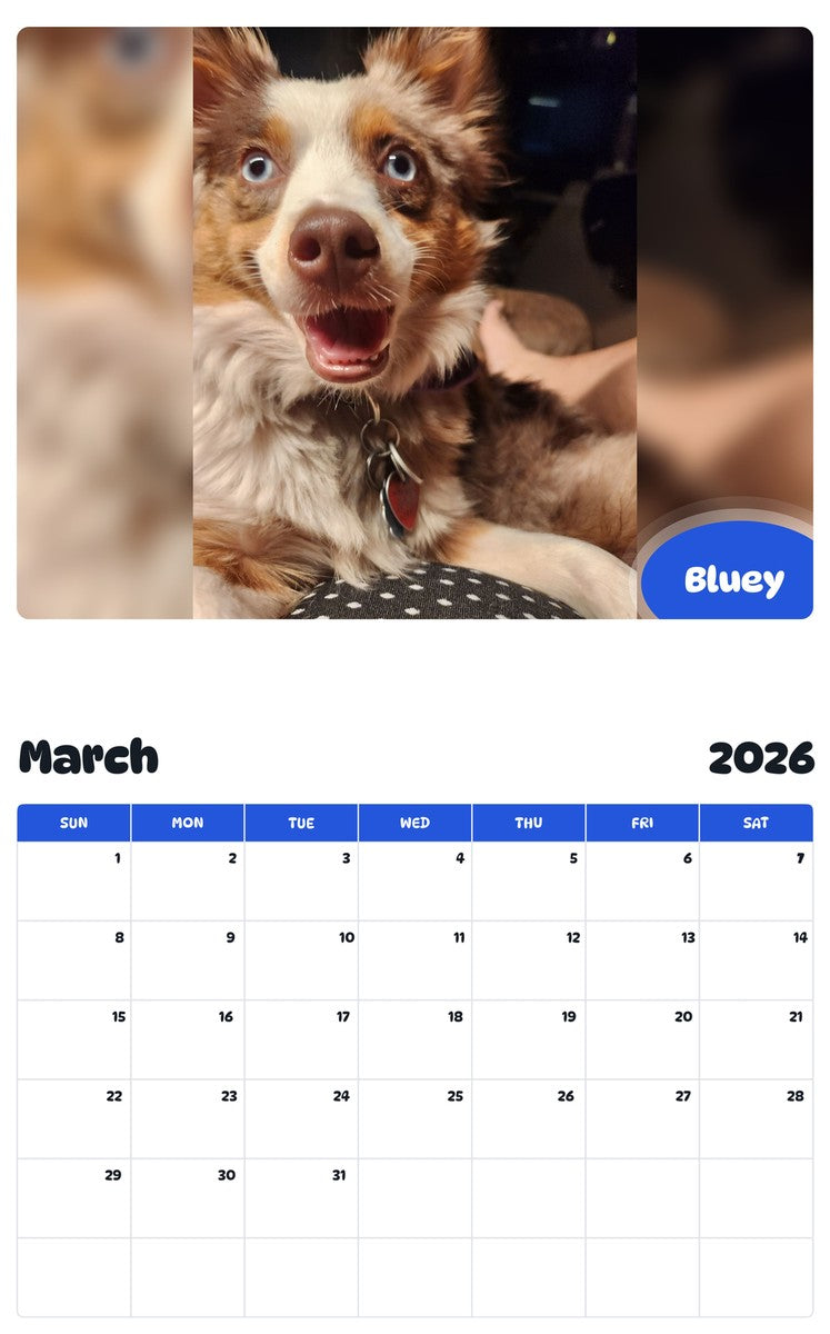 November 2025 - October 2026 Bluey - Pawidols Pet Calendar