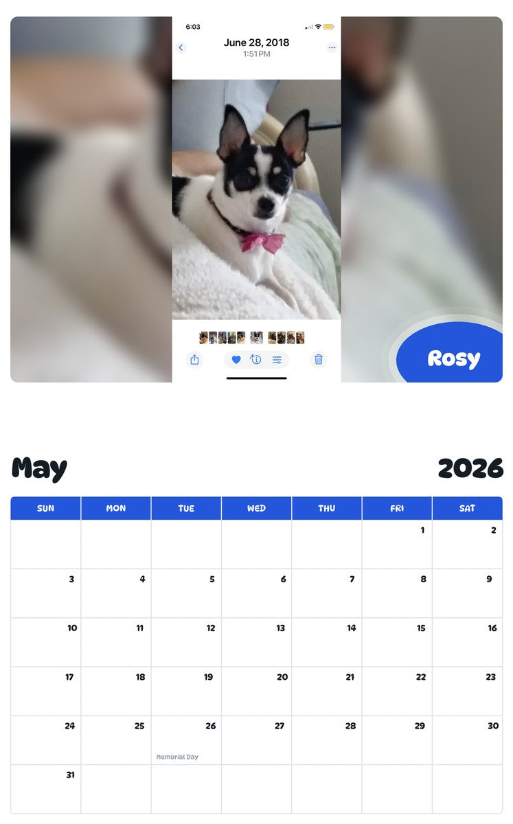 2026 - 2027 Rosy - Pawidols Pet Calendar