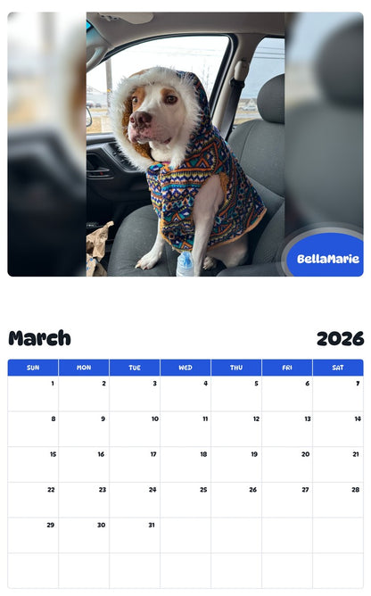 November 2025 - October 2026 BellaMarie - Pawidols Pet Calendar