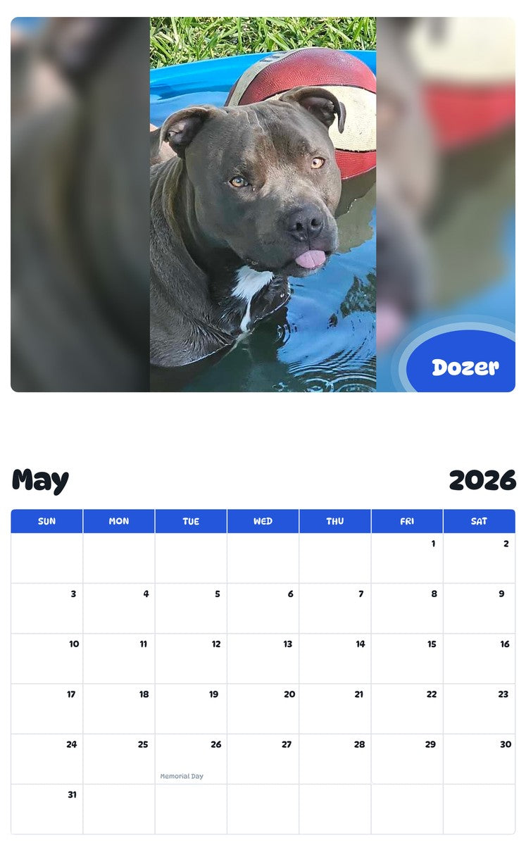 2026 - 2027 Dozer - Pawidols Pet Calendar