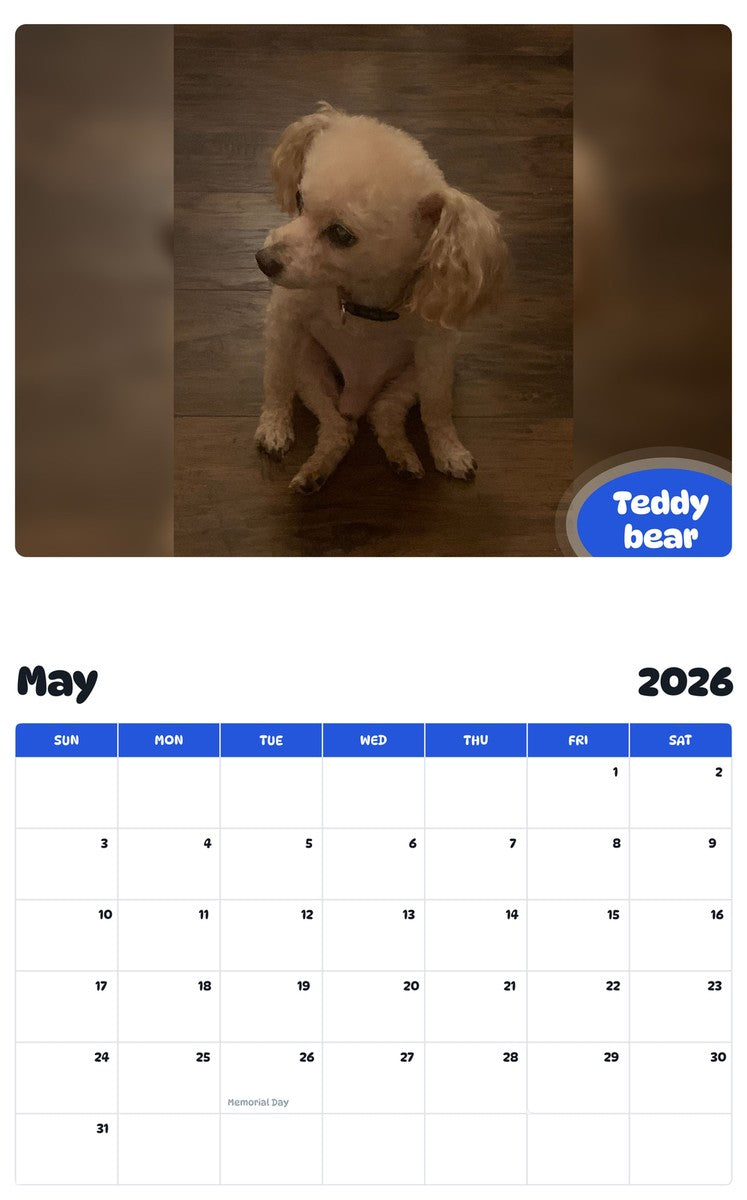 2026 - 2027 Teddy bear - Pawidols Pet Calendar