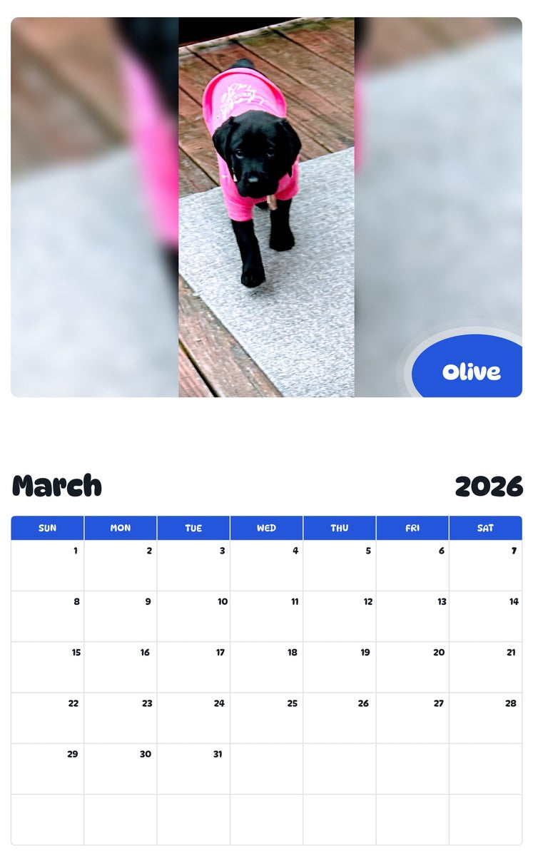 November 2025 - October 2026 Olive - Pawidols Pet Calendar