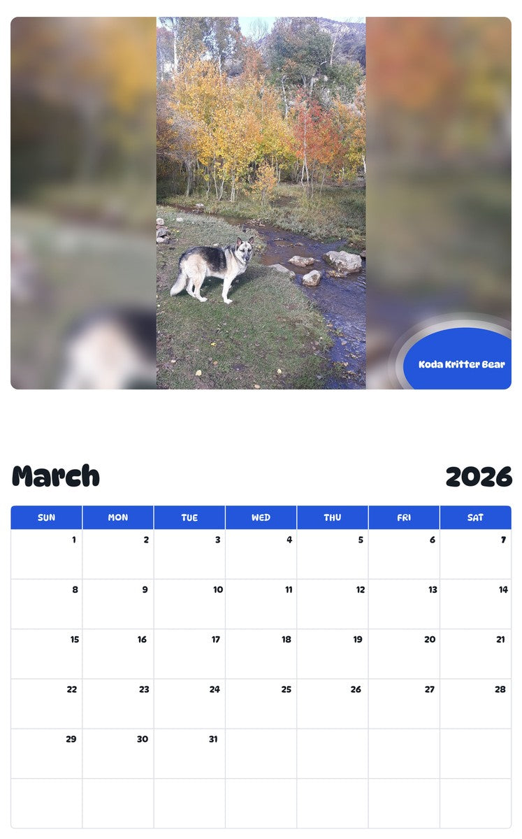 November 2025 - October 2026 Koda Kritter Bear - Pawidols Pet Calendar