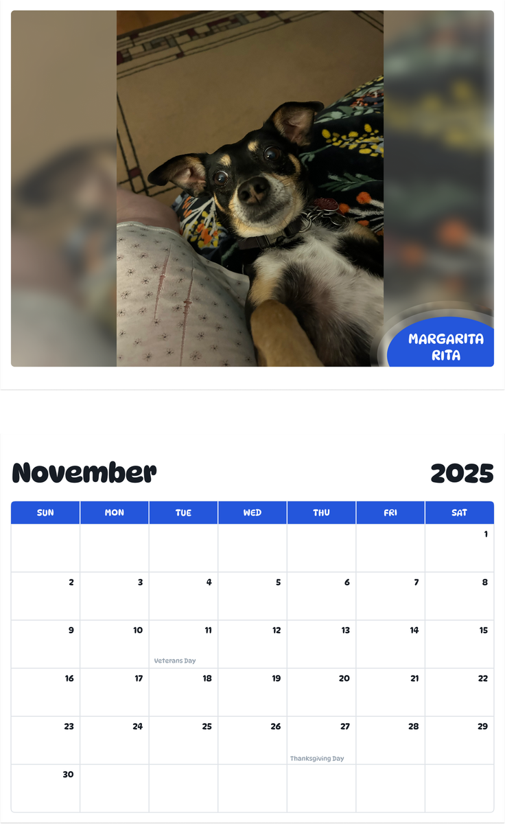 July 2025 - June 2026 Margarita Rita - Pawidols Pet Calendar