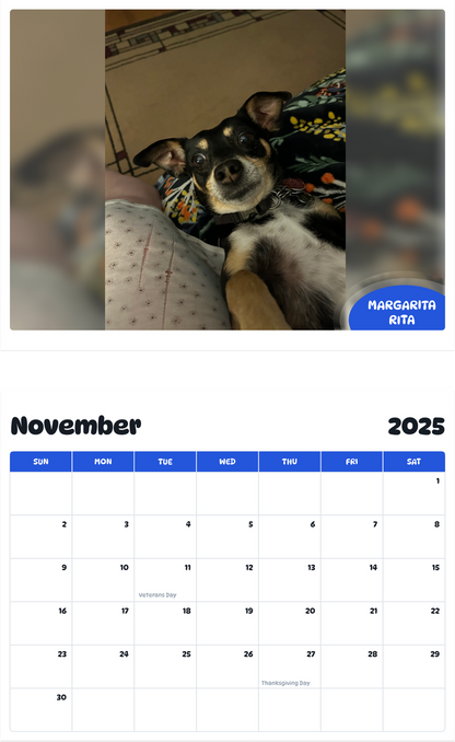 July 2025 - June 2026 Margarita Rita - Pawidols Pet Calendar