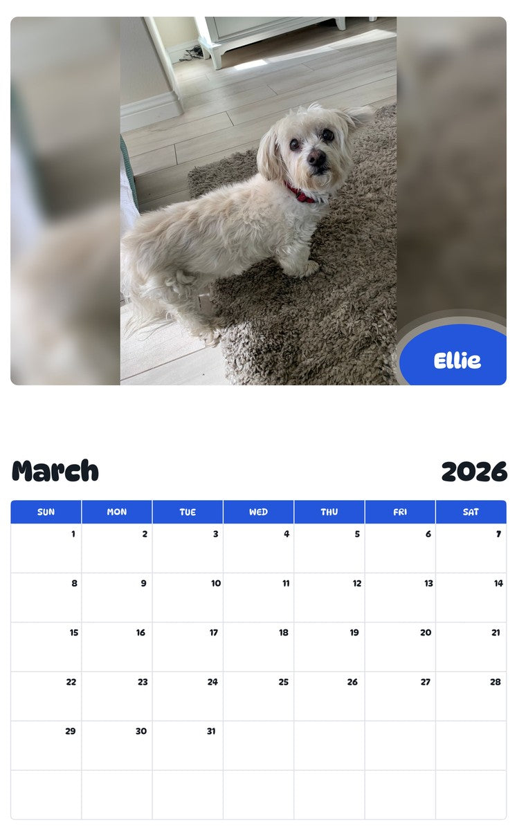 November 2025 - October 2026 Ellie - Pawidols Pet Calendar