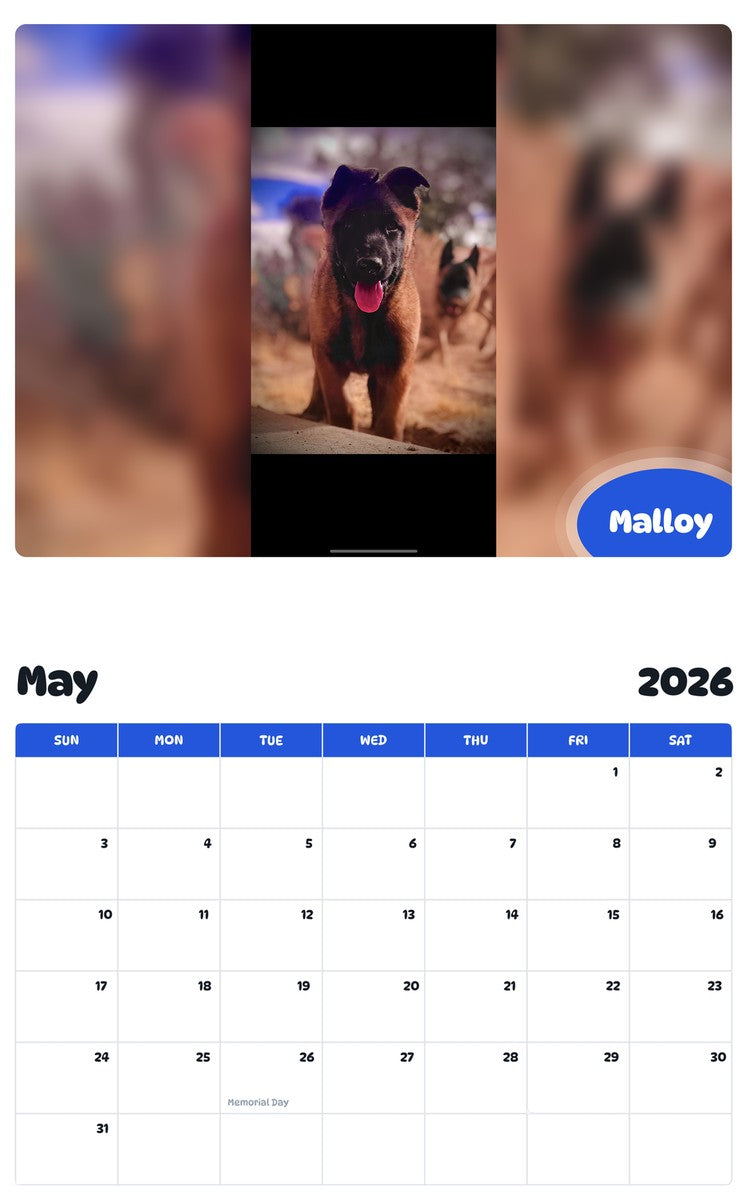 2026 - 2027 Malloy - Pawidols Pet Calendar