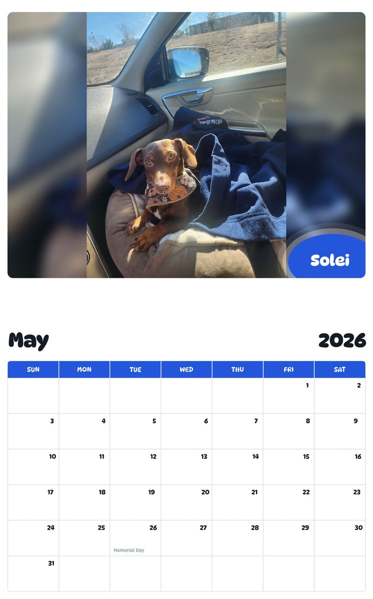 2026 - 2027 Solei - Pawidols Pet Calendar
