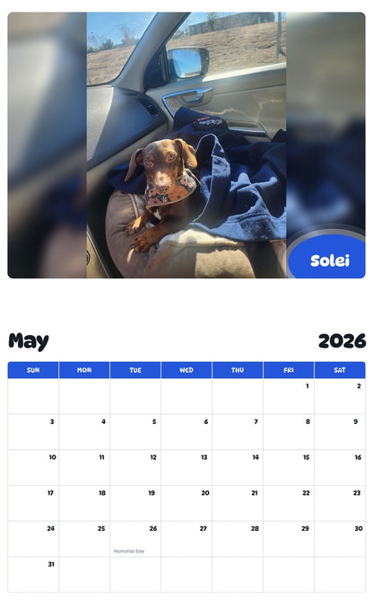 2026 - 2027 Solei - Pawidols Pet Calendar
