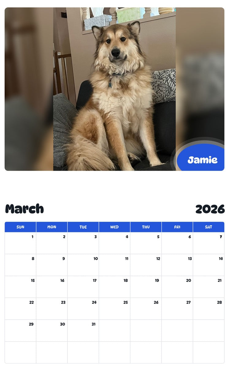November 2025 - October 2026 Jamie - Pawidols Pet Calendar