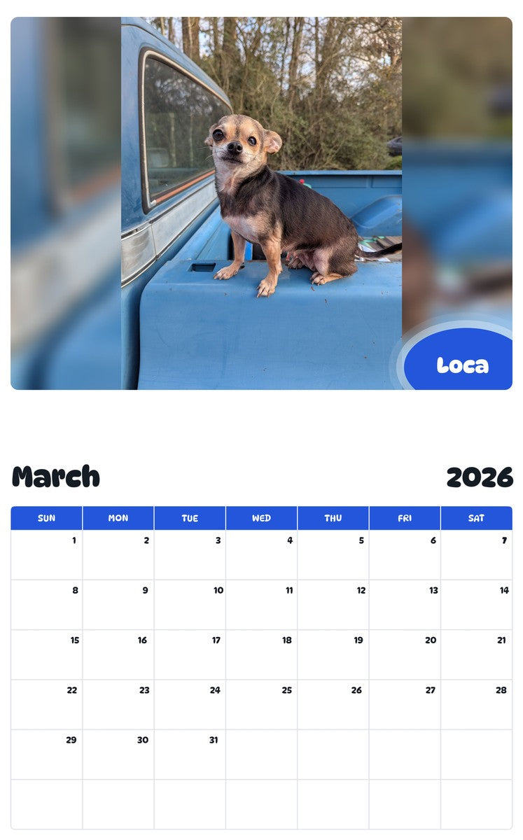 November 2025 - October 2026 Loca - Pawidols Pet Calendar