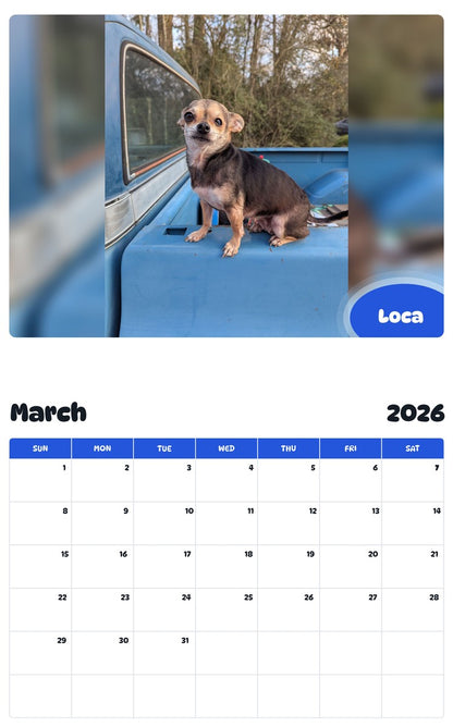 November 2025 - October 2026 Loca - Pawidols Pet Calendar