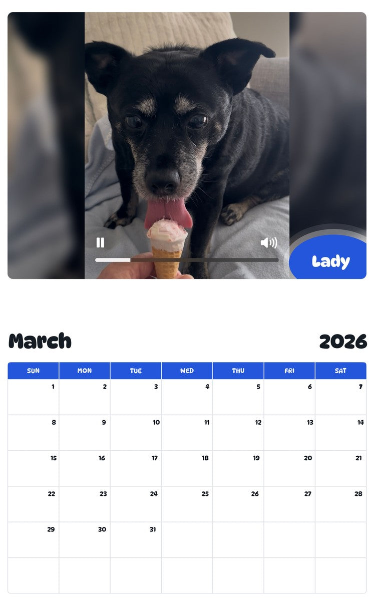 November 2025 - October 2026 Lady - Pawidols Pet Calendar