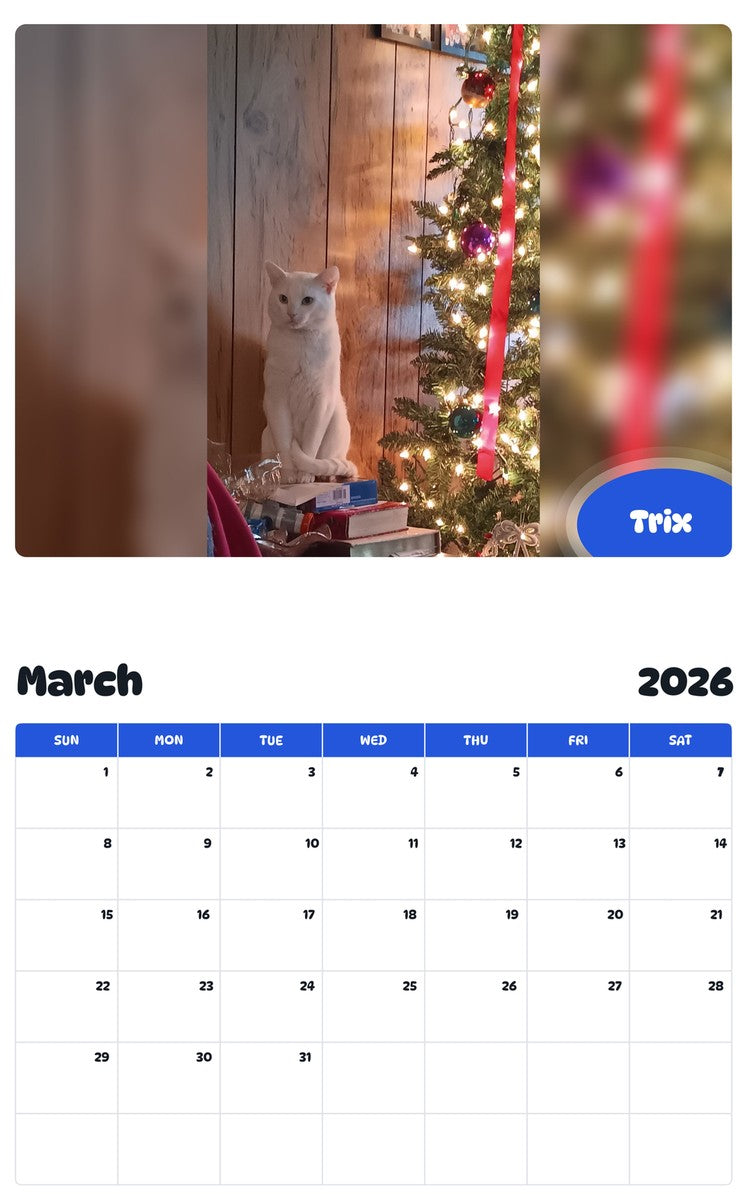 November 2025 - October 2026 Trix - Pawidols Pet Calendar