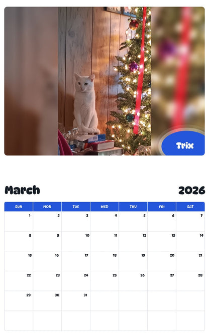 November 2025 - October 2026 Trix - Pawidols Pet Calendar
