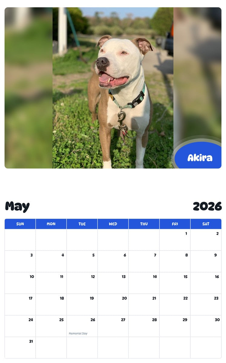 2026 - 2027 Akira - Pawidols Pet Calendar