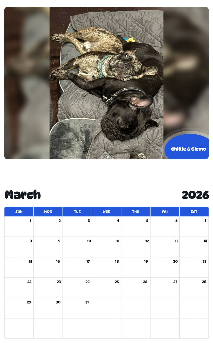 November 2025 - October 2026 Chillie & Gizmo - Pawidols Pet Calendar