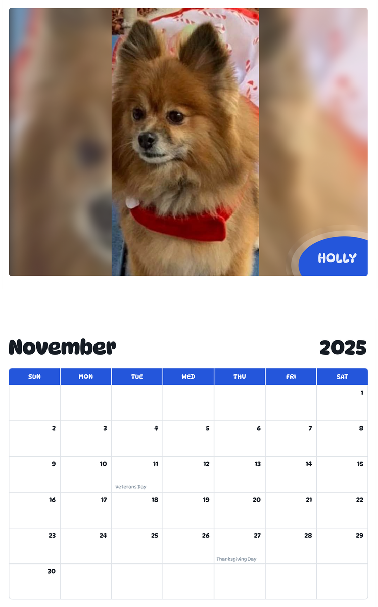 July 2025 - June 2026 Holly - Pawidols Pet Calendar