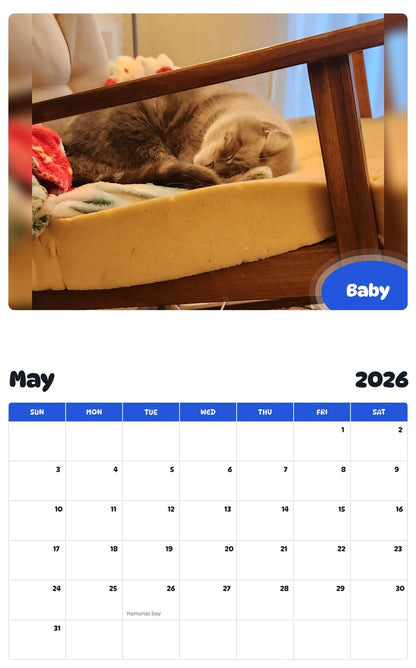 2026 - 2027 Baby - Pawidols Pet Calendar