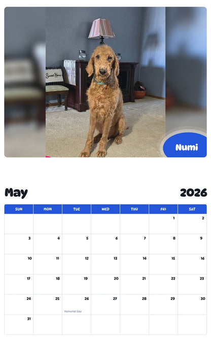 2026 - 2027 Numi - Pawidols Pet Calendar