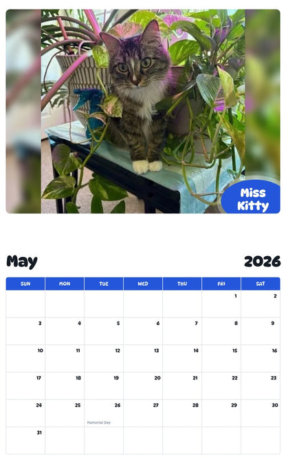 2026 - 2027 Miss Kitty - Pawidols Pet Calendar