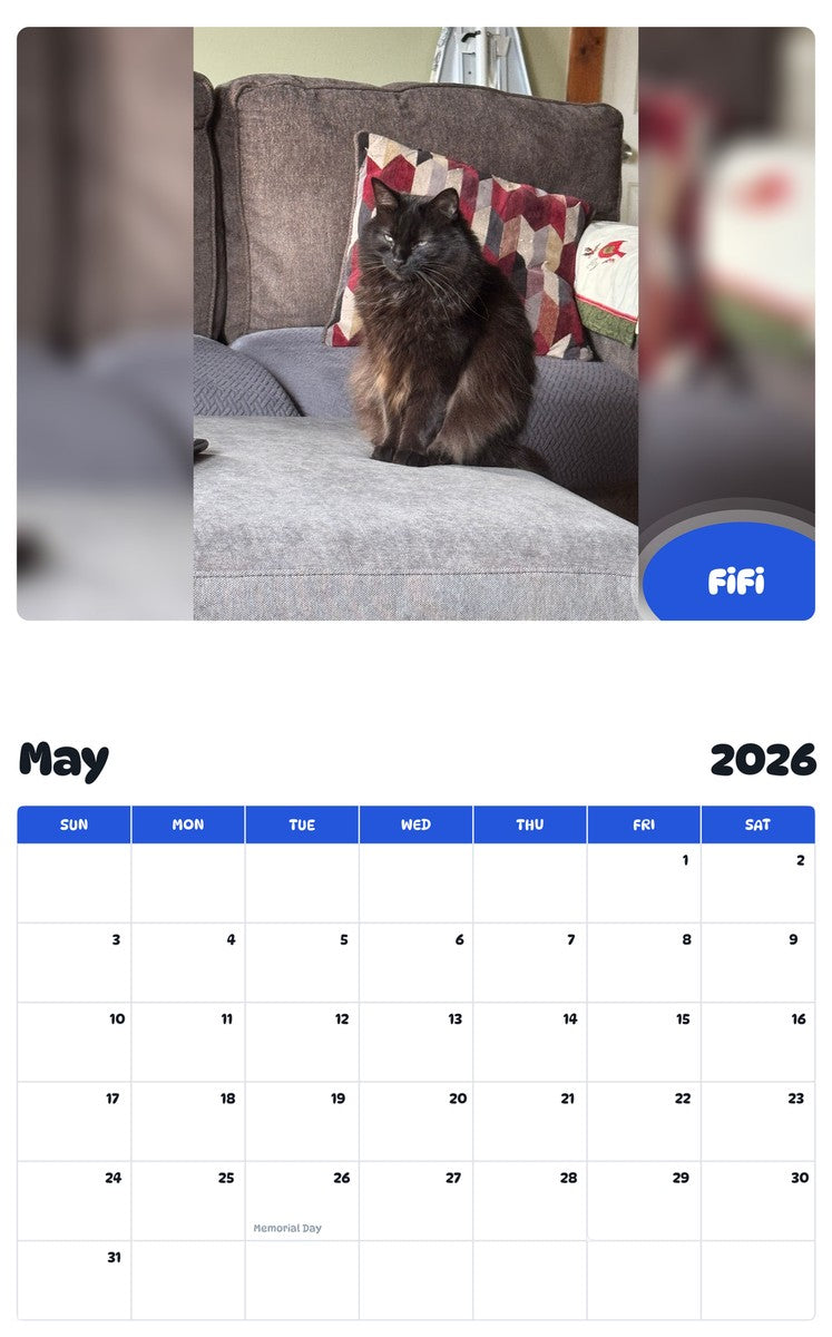 2026 - 2027 FiFi - Pawidols Pet Calendar