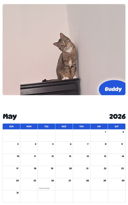 2026 - 2027 Buddy - Pawidols Pet Calendar