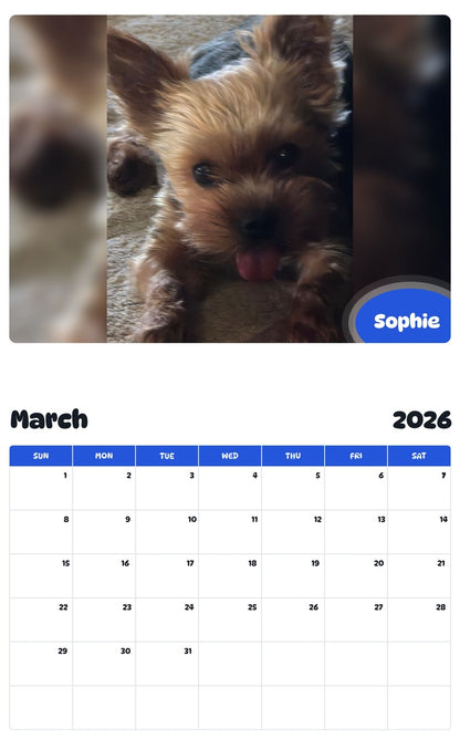 November 2025 - October 2026 Sophie - Pawidols Pet Calendar