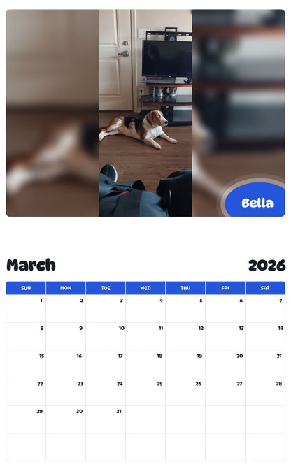 November 2025 - October 2026 Bella - Pawidols Pet Calendar