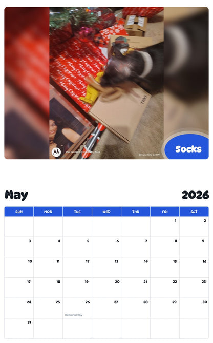 2026 - 2027 Socks - Pawidols Pet Calendar