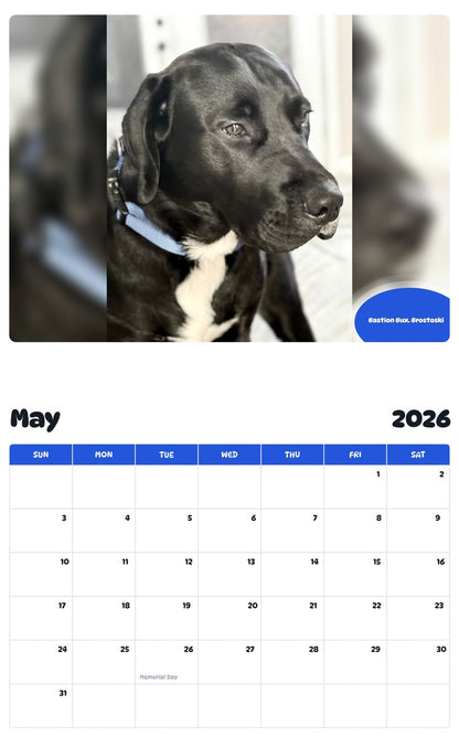 2026 - 2027 Bastion Bux. Brostoski - Pawidols Pet Calendar