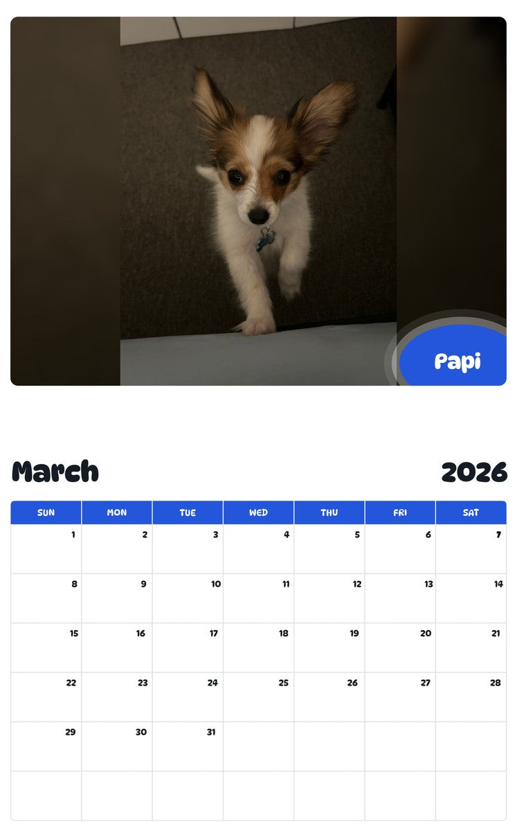 November 2025 - October 2026 Papi - Pawidols Pet Calendar