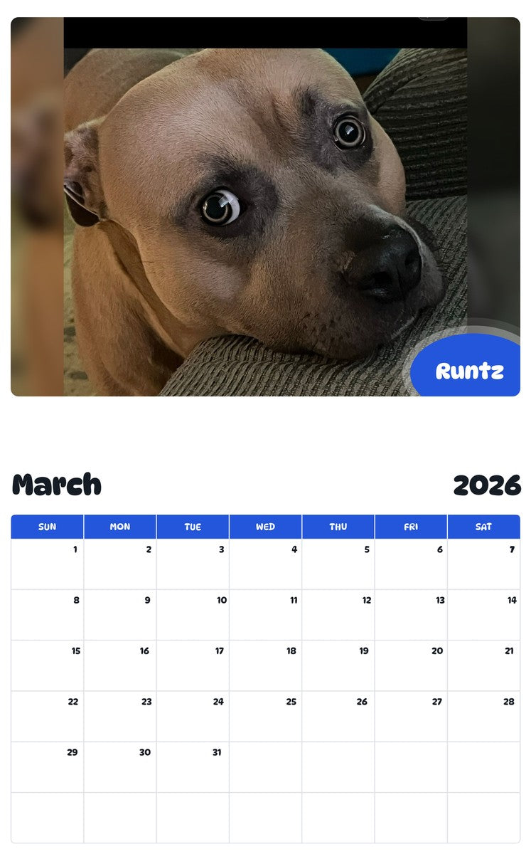 November 2025 - October 2026 Runtz - Pawidols Pet Calendar