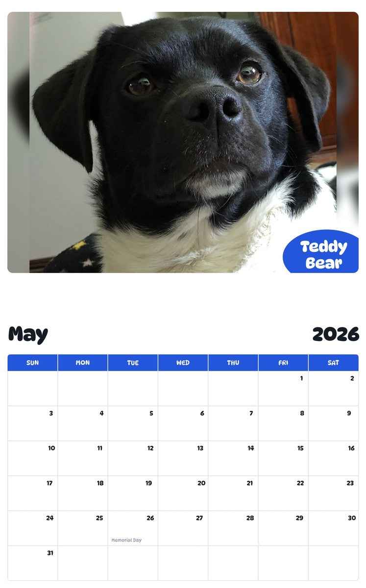2026 - 2027 Teddy Bear - Pawidols Pet Calendar