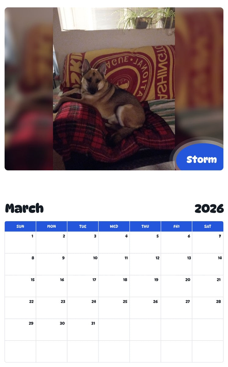 November 2025 - October 2026 Storm - Pawidols Pet Calendar