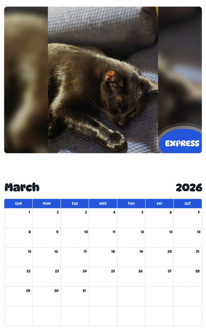 November 2025 - October 2026 EXPRESS - Pawidols Pet Calendar