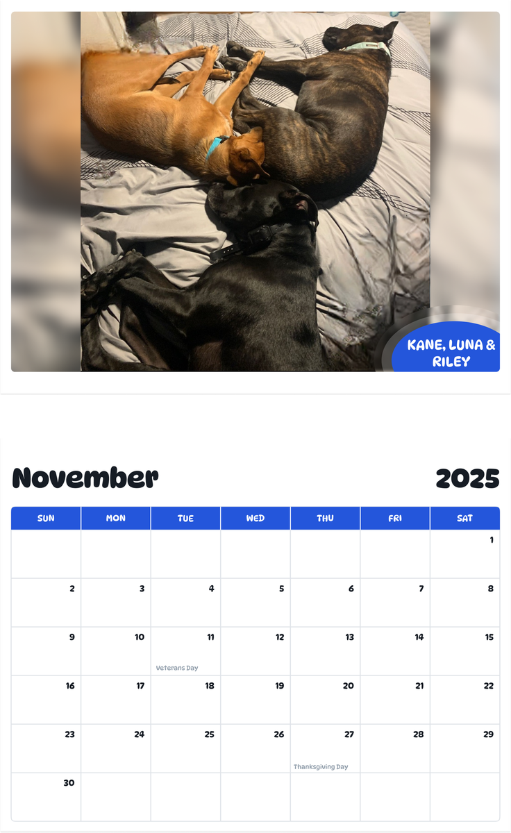 July 2025 - June 2026 Kane,  Luna & Riley - Pawidols Pet Calendar