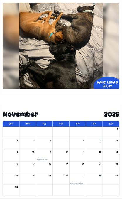 July 2025 - June 2026 Kane,  Luna & Riley - Pawidols Pet Calendar