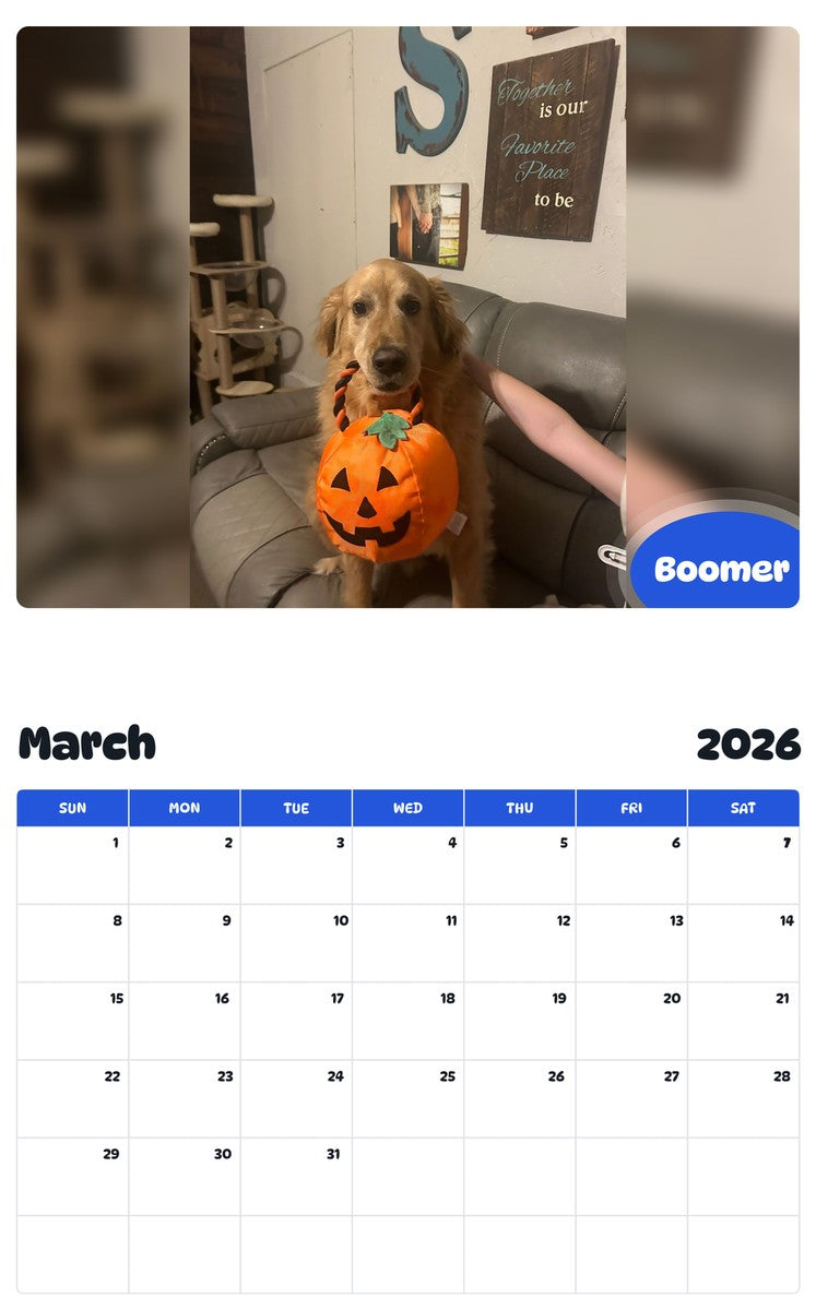 November 2025 - October 2026 Boomer - Pawidols Pet Calendar