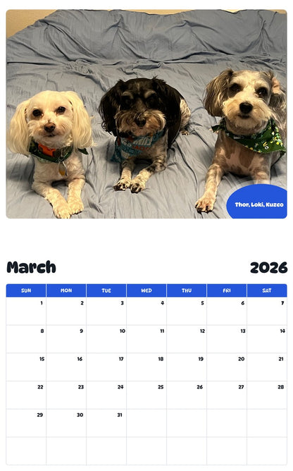 November 2025 - October 2026 Thor, Loki, Kuzco - Pawidols Pet Calendar
