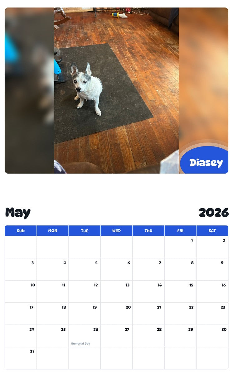 2026 - 2027 Diasey - Pawidols Pet Calendar