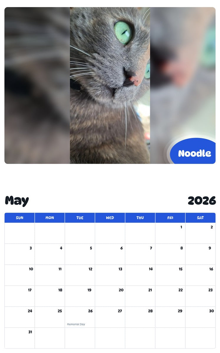 2026 - 2027 Noodle - Pawidols Pet Calendar