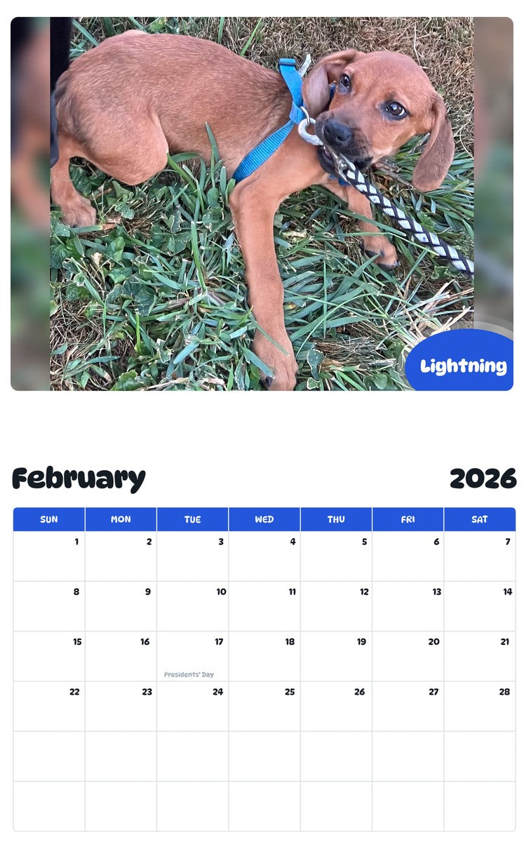 October 2025 - September 2026 Lightning - Pawidols Pet Calendar