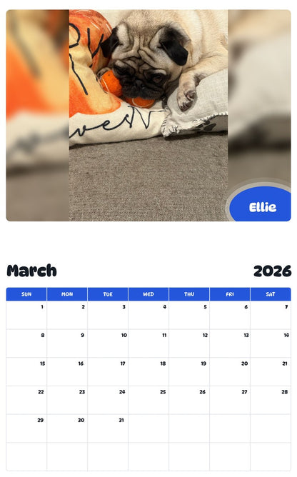 November 2025 - October 2026 Ellie - Pawidols Pet Calendar