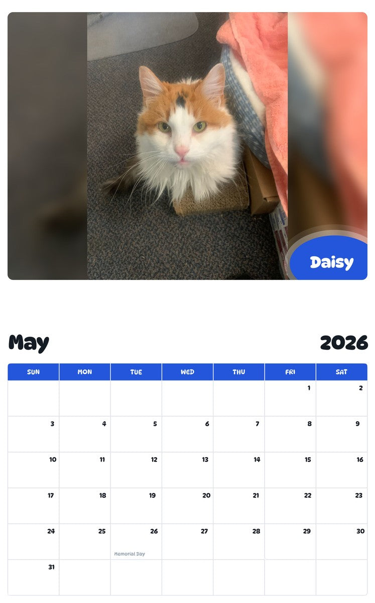 2026 - 2027 Daisy - Pawidols Pet Calendar
