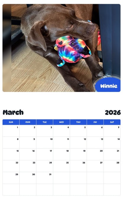 November 2025 - October 2026 Winnie - Pawidols Pet Calendar